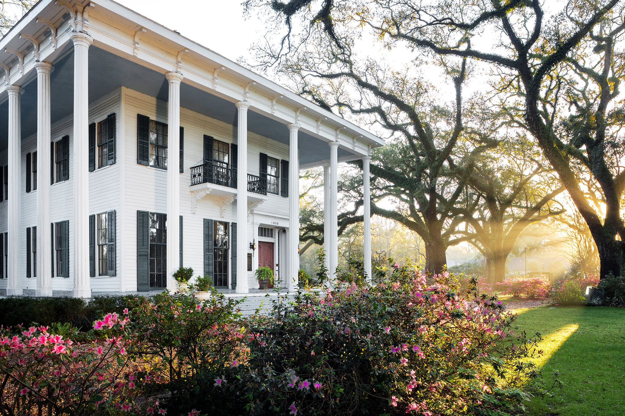 17.03.10 AzaleasMobile944 Kopie