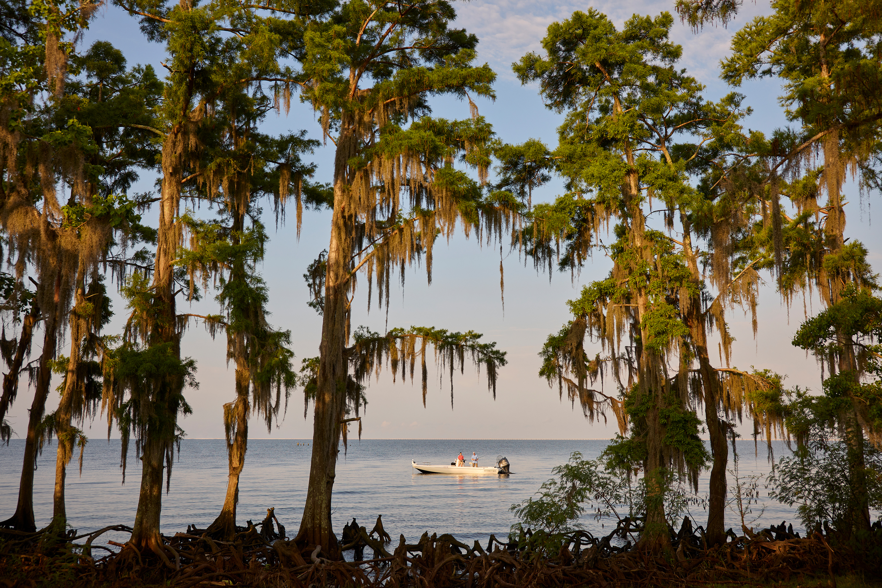 20240505LOT Year Of Food Selects 0192 Kopie