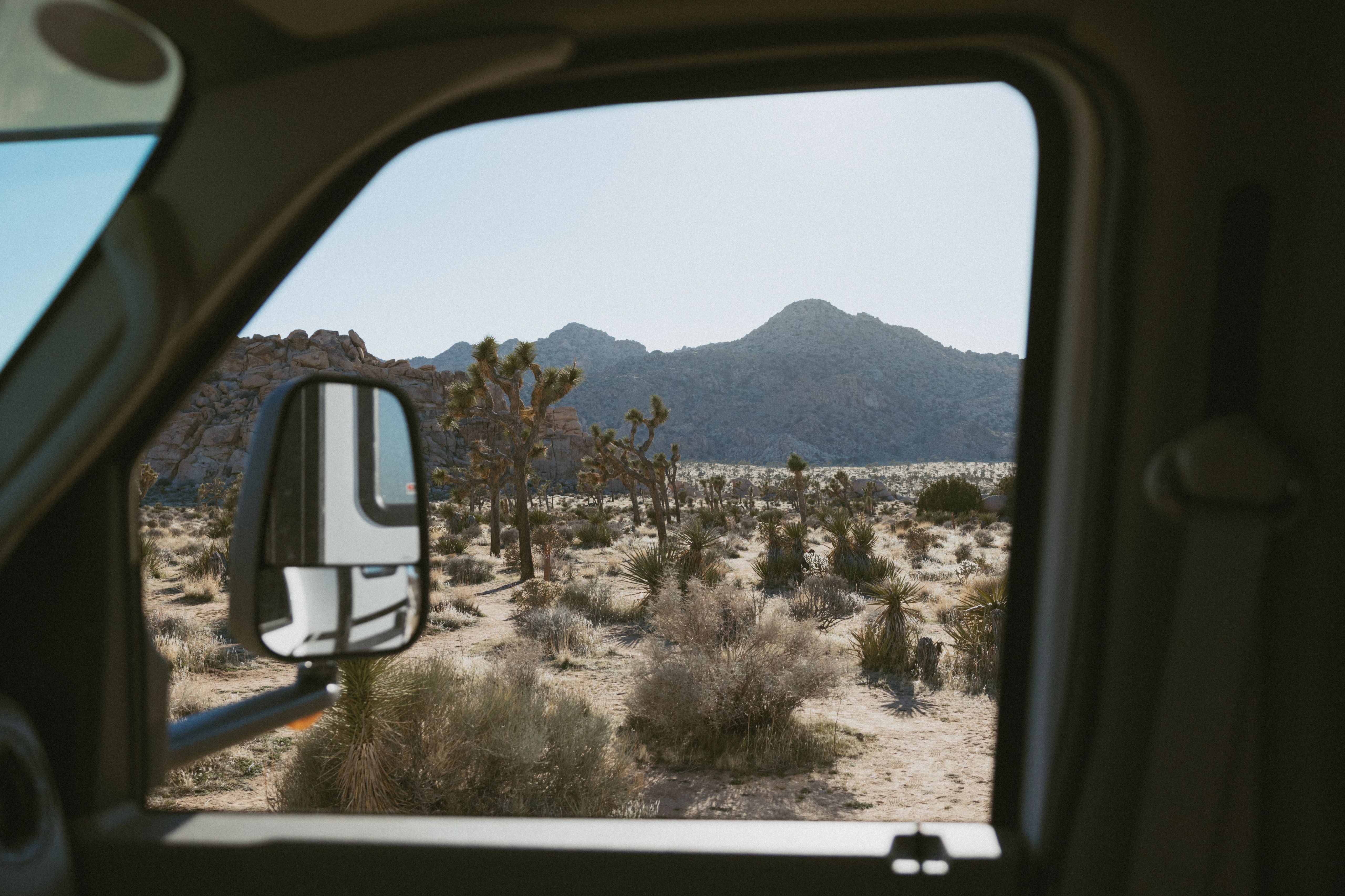 Denise Delles Joshua Tree3