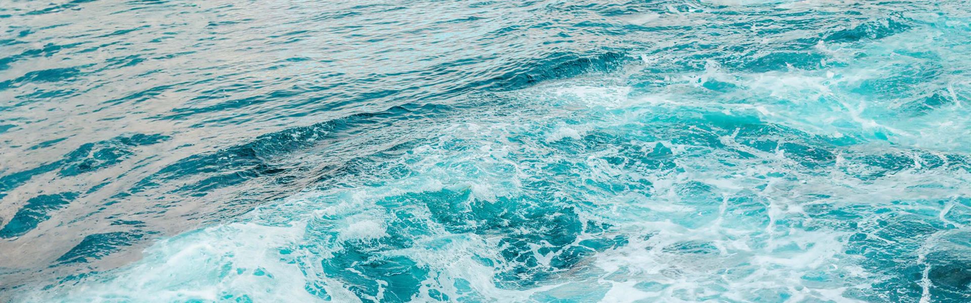 rowen smith Xk4hnBZHHZ0 unsplash