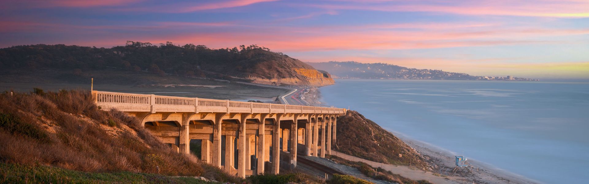 IPWBear StockPhoto TorreyPinesCoastalBridge UseInPerpetuity
