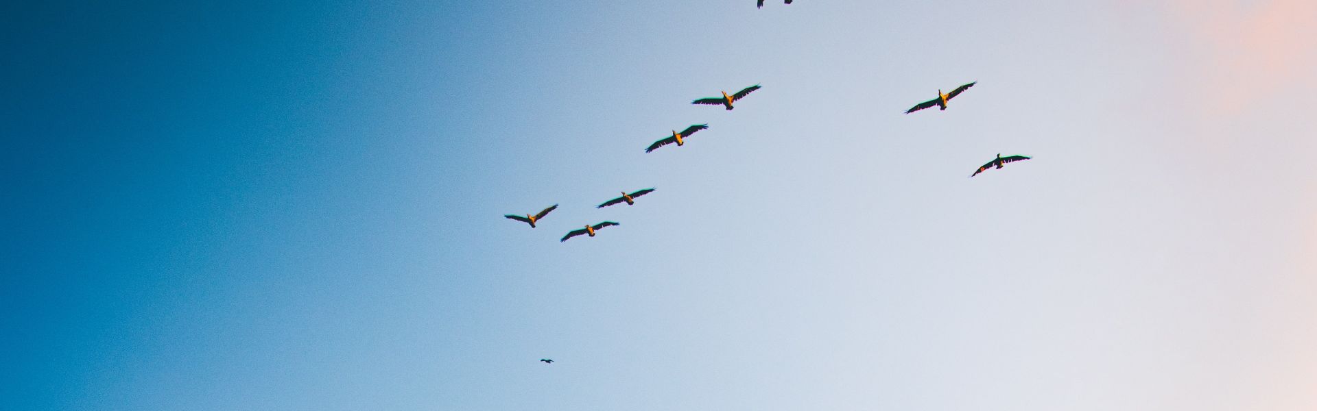 jaredd craig 2flfLhhRVf8 unsplash2