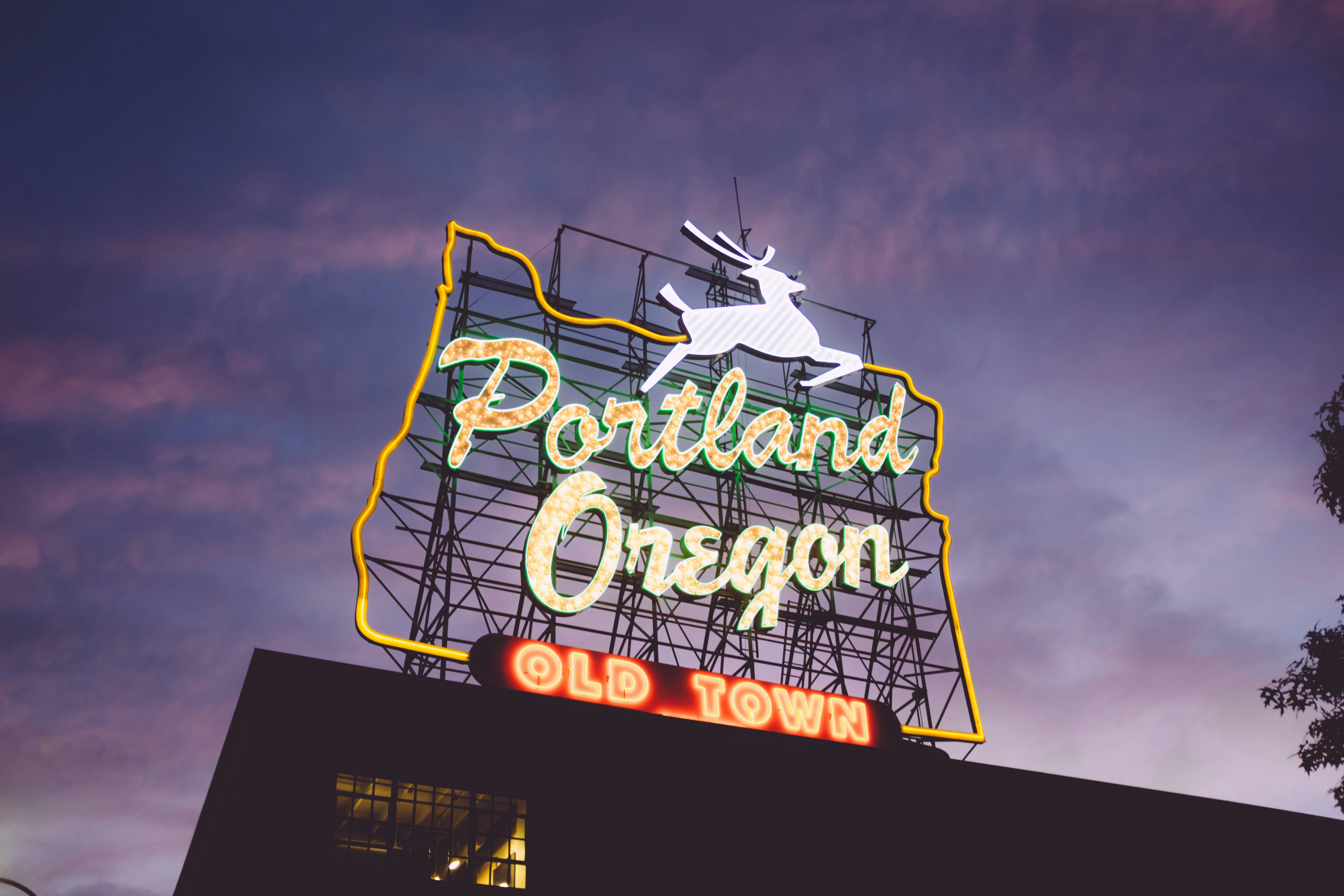zack spear ZB Ns0hVZNk unsplash