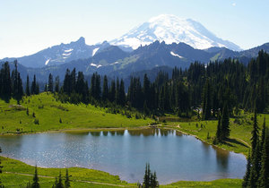Seattle: Mount Rainier National Park Tour