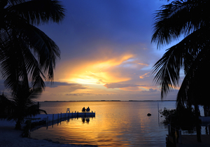 15 Tage Florida: Sonne, Spaß & Fantasie
